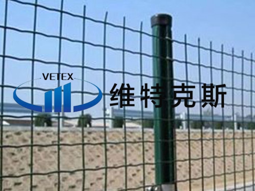 荷蘭網(wǎng)
